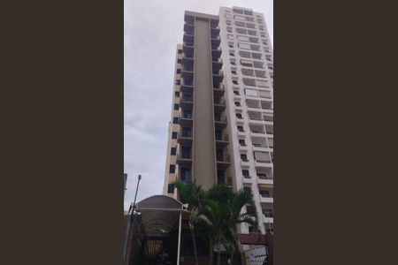 Casa para alugar com 1 quarto, 20m² em Taquaral, Campinas