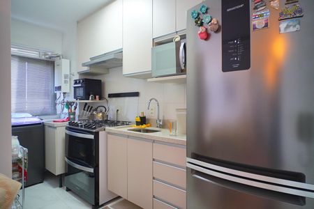 Cozinha de apartamento para alugar com 2 quartos, 42m² em Condomínio Terrabela, Porto Alegre