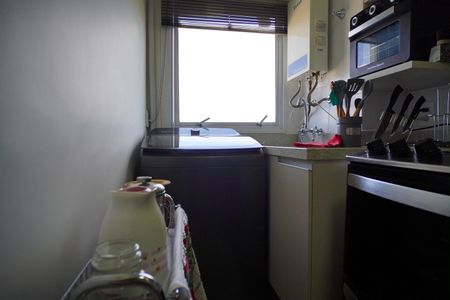 Área de Serviço de apartamento para alugar com 2 quartos, 42m² em Condomínio Terrabela, Porto Alegre