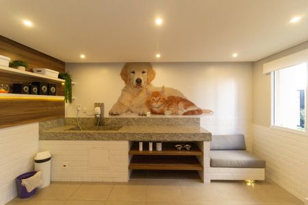 Apartamento para alugar com 35m², 2 quartos e sem vaga Apartamento para alugar com 35m², 2 quartos e sem vagaEspaço pet