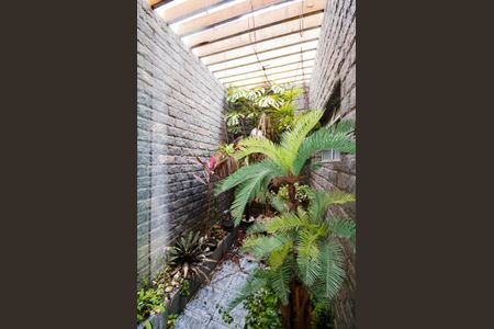 Casa à venda com 250m², 3 quartos e 4 vagasJardim de Inverno