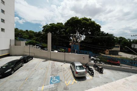 Sala/Cozinha de apartamento para alugar com 2 quartos, 36m² em Vila Pierina, São Paulo