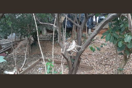 Casa à venda com 4 quartos, 110m² em Jardim Eusonia, Guarulhos