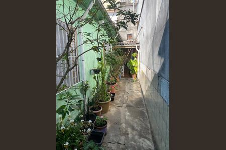 Casa à venda com 4 quartos, 195m² em Vila Maria Alta, São Paulo