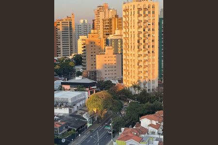 Apartamento à venda com 3 quartos, 97m² em Cambuí, Campinas