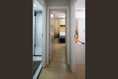 Corredor de apartamento para alugar com 2 quartos, 42m² em Vila Plana, São Paulo
