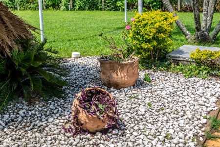 Casa para alugar com 2000m², 4 quartos e sem vagaÁrea Comum-Jardim