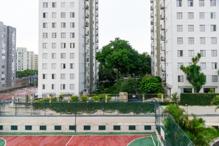 Apartamento para alugar com 72m², 3 quartos e 2 vagasVista da Suíte