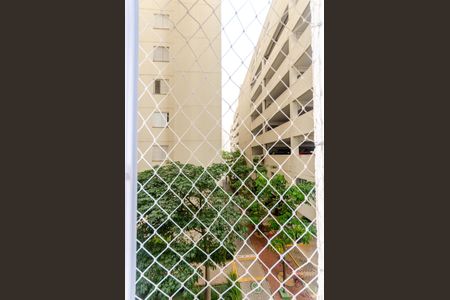 Apartamento para alugar com 44m², 2 quartos e 1 vagaCozinha - Janela