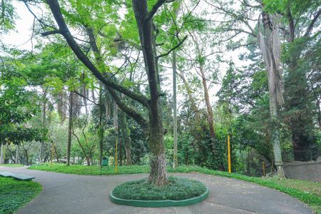 Apartamento para alugar com 72m², 3 quartos e 1 vagaJardim