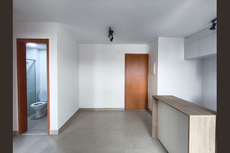 Sala de apartamento para alugar com 1 quarto, 52m² em Vila Carioca, São Paulo