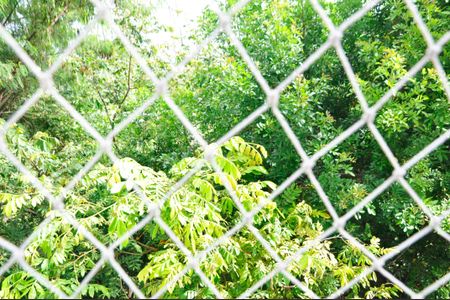 Apartamento à venda com 43m², 2 quartos e 1 vagaDetalhe - Vista da Área de Serviço