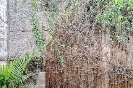 Casa para alugar com 50m², 2 quartos e 1 vagaVista do Quarto 2