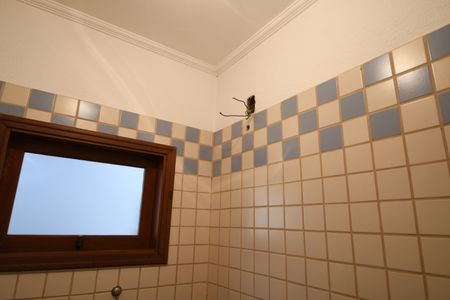 Casa à venda com 280m², 3 quartos e 4 vagasBanheiro Edícula