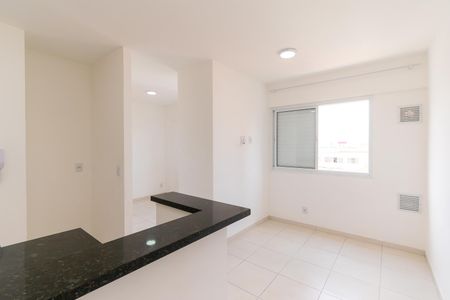 Sala de apartamento para alugar com 1 quarto, 36m² em Vila Formosa, São Paulo