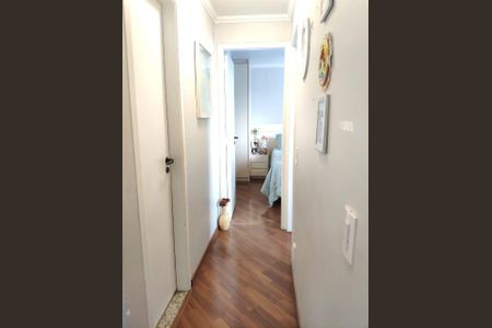 Corredor de apartamento para alugar com 2 quartos, 65m² em Jardim Iris, São Paulo