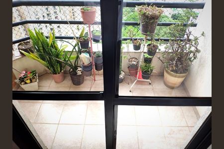 Apartamento para alugar com 65m², 2 quartos e 1 vaga Apartamento para alugar com 65m², 2 quartos e 1 vagaVaranda