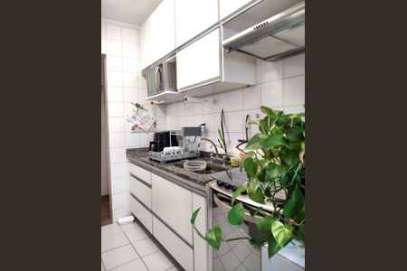 Apartamento para alugar com 65m², 2 quartos e 1 vaga Apartamento para alugar com 65m², 2 quartos e 1 vagaCozinha