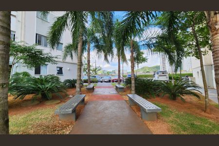 Apartamento para alugar com 45m², 2 quartos e 1 vagaJardim