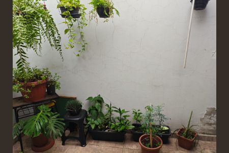 Casa para alugar com 80m², 3 quartos e 2 vagas