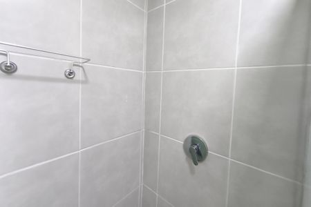 Banheiro de apartamento à venda com 2 quartos, 37m² em Residencial Parque da Fazenda, Campinas