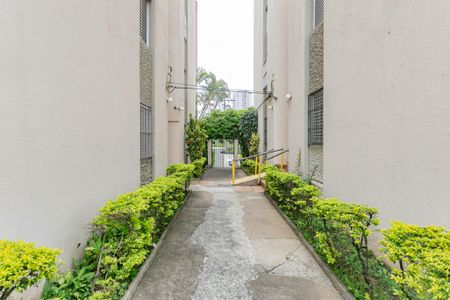 Apartamento para alugar com 58m², 2 quartos e 1 vagaArea comum