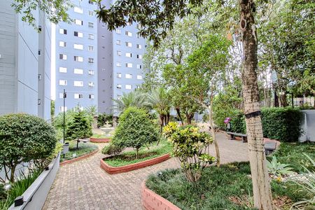 Apartamento à venda com 50m², 2 quartos e 1 vaga Apartamento à venda com 50m², 2 quartos e 1 vagavista da Área de Serviço