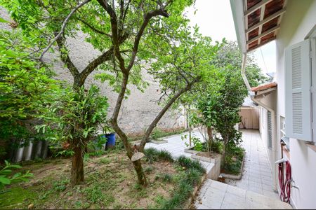 Casa para alugar com 150m², 3 quartos e 1 vaga Casa para alugar com 150m², 3 quartos e 1 vagaQuintal