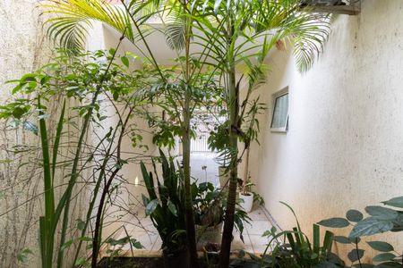 Casa para alugar com 300m², 4 quartos e 3 vagasVista da Suíte 