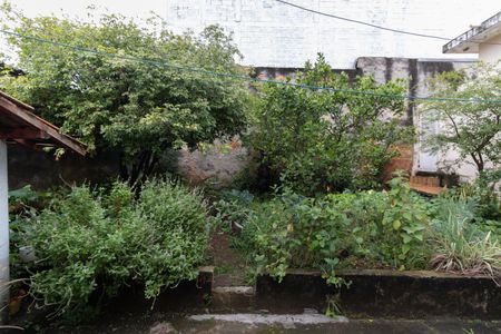 Casa à venda com 118m², 3 quartos e 3 vagasQuintal/Jardim 