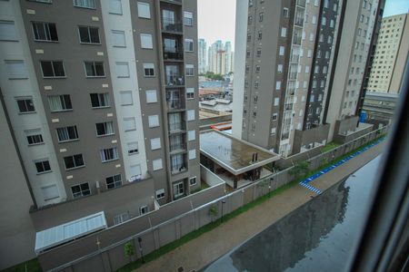 Apartamento para alugar com 1 quarto, 28m² em Belenzinho, São Paulo