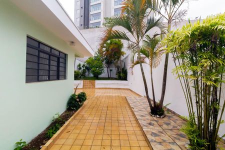 Casa para alugar com 350m², 2 quartos e 2 vagasQuintal