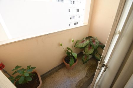 Sala - Sacada de apartamento à venda com 2 quartos, 76m² em Centro, Campinas