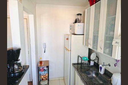 Cozinha de apartamento para alugar com 2 quartos, 49m² em Parque Boturussu, São Paulo