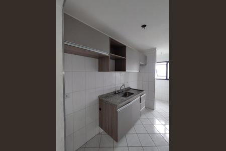 Apartamento para alugar com 63m², 2 quartos e 1 vagaCozinha - Armários