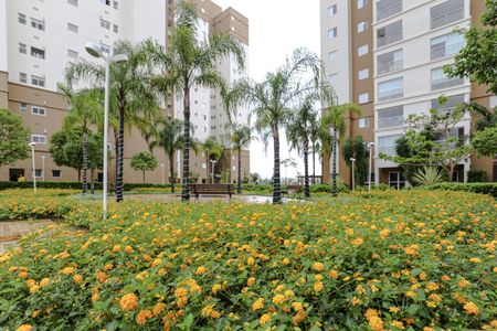 Apartamento para alugar com 80m², 3 quartos e 2 vagasÁrea Comum