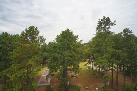 Apartamento para alugar com 60m², 2 quartos e 1 vaga Apartamento para alugar com 60m², 2 quartos e 1 vagaQuarto 1_Vista