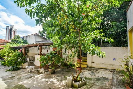 Casa à venda com 500m², 4 quartos e 3 vagasQuintal