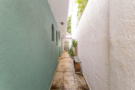 Casa para alugar com 209m², 4 quartos e 3 vagasQuintal