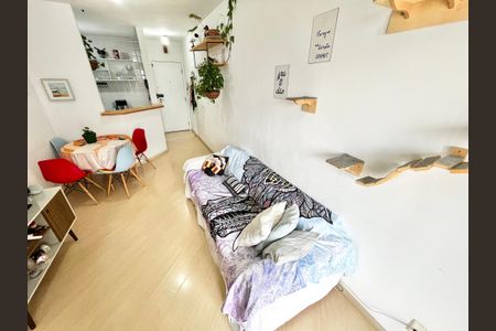 Sala de apartamento à venda com 2 quartos, 50m² em Parque Mandaqui, São Paulo