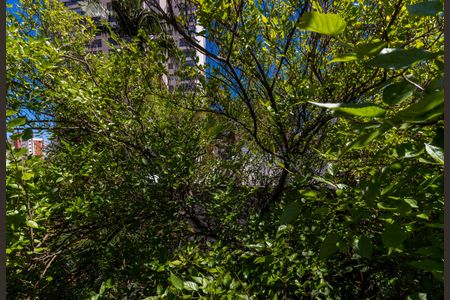 Casa à venda com 240m², 3 quartos e 6 vagasQuintal - Vista