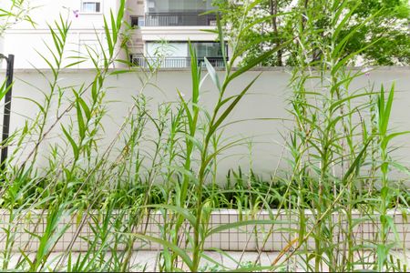 Vista de apartamento para alugar com 1 quarto, 50m² em Pompeia, São Paulo