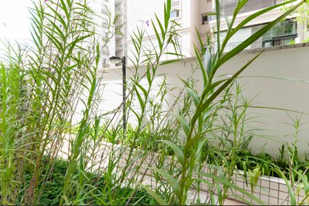 Vista de apartamento para alugar com 1 quarto, 50m² em Pompeia, São Paulo