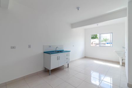 Apartamento para alugar com 47m², 1 quarto e sem vagaCozinha