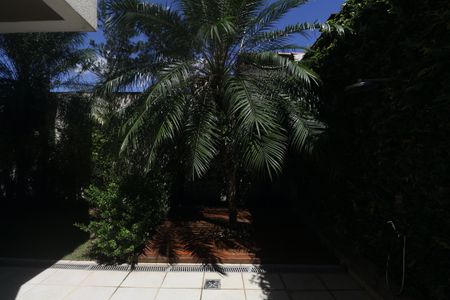 Casa para alugar com 314m², 4 quartos e 2 vagasQuintal