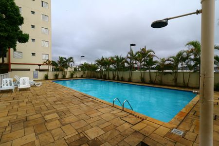 Apartamento para alugar com 66m², 3 quartos e 1 vagaÁrea Comum - Piscina