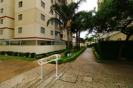 Apartamento para alugar com 66m², 3 quartos e 1 vagaÁrea Comum