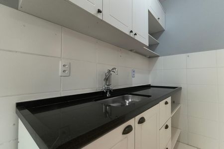 Apartamento para alugar com 49m², 2 quartos e 1 vagaCozinha - Armários