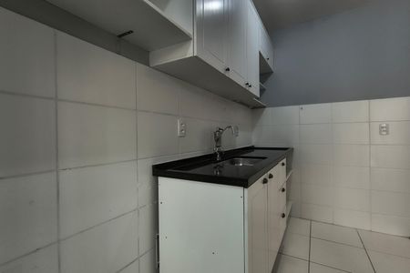 Apartamento para alugar com 49m², 2 quartos e 1 vagaCozinha - Armários