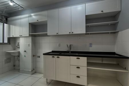 Apartamento para alugar com 49m², 2 quartos e 1 vagaCozinha - Armários